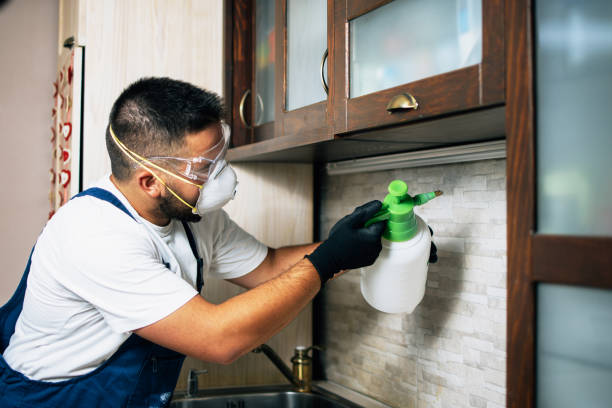 Best Commercial Pest Control Services  in Fairfield Harbour, NC