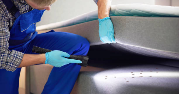 Best Emergency Pest Control  in Fairfield Harbour, NC