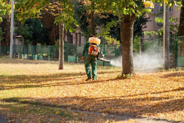 Best Affordable Pest Control Services  in Fairfield Harbour, NC