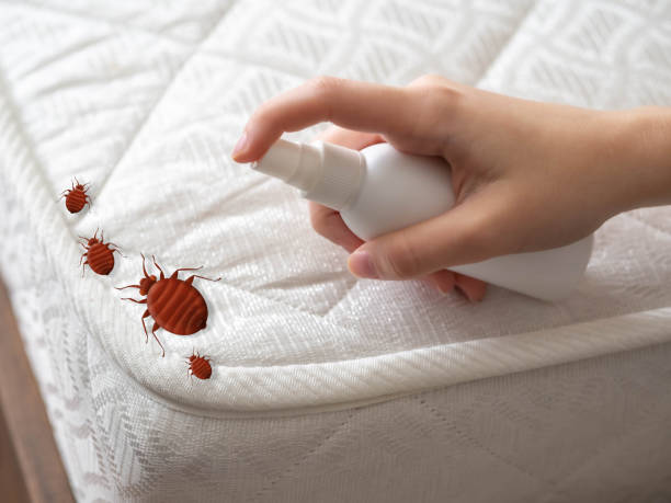 Pest Control for Restaurants in Fairfield Harbour, NC